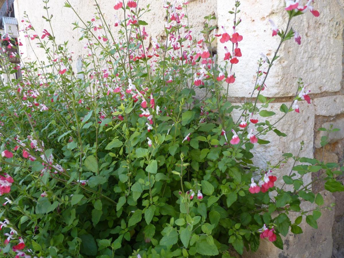 Hébergement de vacances Maison à La Campagne *